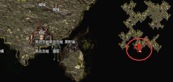 封魔谷守卫放置攻略（如何放置封魔谷守卫，最大化利用资源）