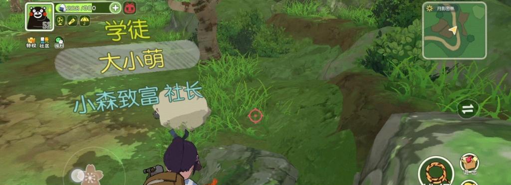 《小森生活》游戏打猎攻略（探寻丰富的打猎玩法，享受小森林的自然之美）