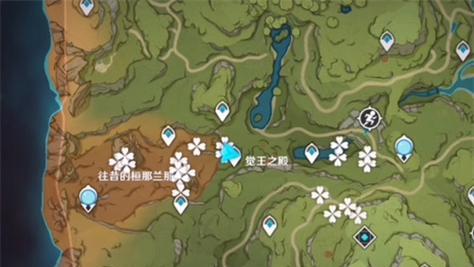 原神幽灯蕈采摘图鉴（材料分布一览，快速掌握幽灯蕈的位置）