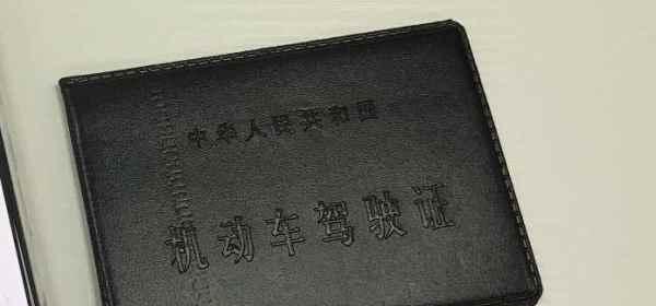 《重生于第二人生》（探索不同的人生选择，畅游虚拟世界）