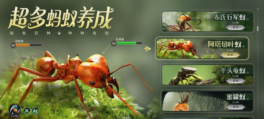 《狩猎时刻》游戏森林资源详解：开启你的探索之旅
