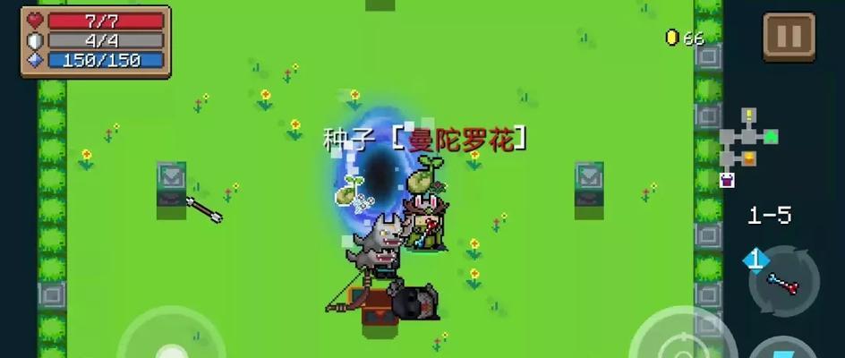 《元气骑士花园》花圃种植攻略（打造属于自己的花园，让元气满满的小动物们陪伴你一起成长）