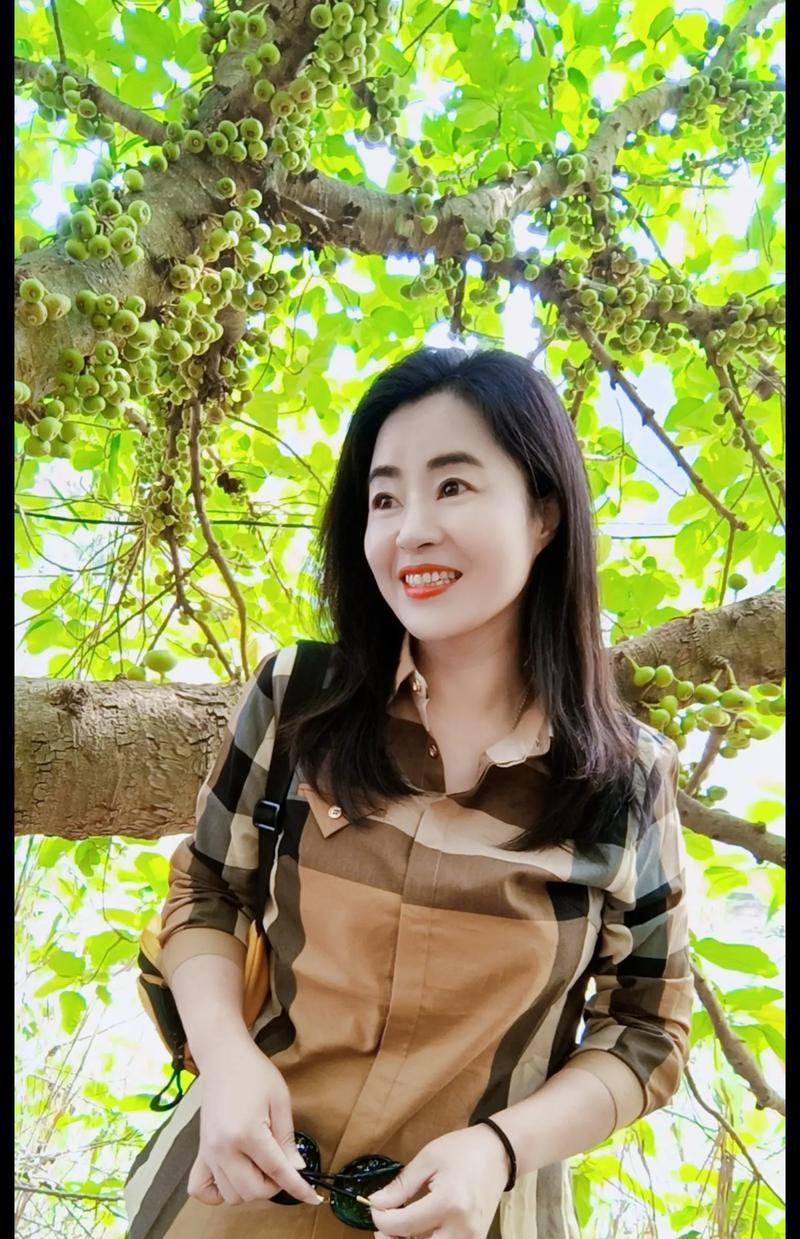 小花仙攻略之梅香（解锁梅香的技能与秘籍）