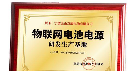 红宝石双鹿市攻略（独特文化与美丽风光，红宝石双鹿市等待您的发现）