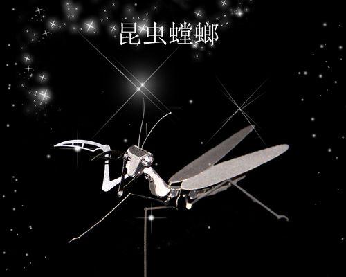 绝佳策略！螳螂对战大龙虾出装攻略（战胜大龙虾，关键在装备选择）