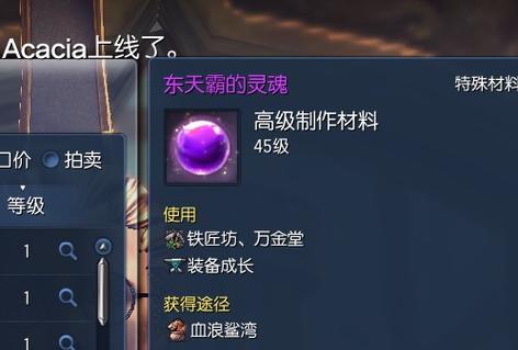 《剑灵恶女喂养攻略》（解锁终极技巧，成为恶女养成大师！）