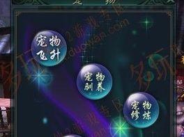 诛仙宝怎么升级,血炼、聚气与成长方向解析