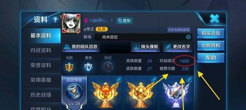 王者荣耀经验满怎么玩,多元化游戏体验攻略