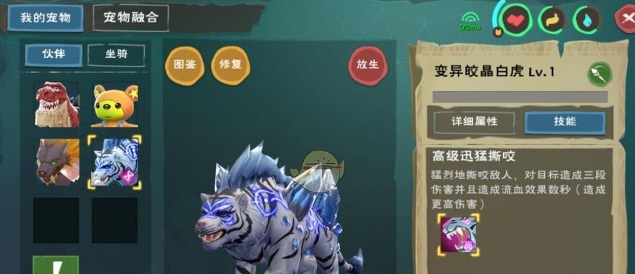 创造与魔法攻略熊（从零开始，掌握熊魔法的要诀与技巧）
